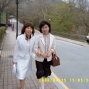 춘옥 이미지