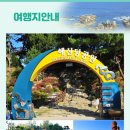 씨제이티