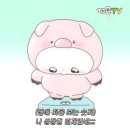 돈순이 - 서귀포시 일주동로 6611 | 돈순이
