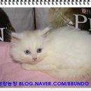 고명농장 이미지