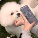 미래펫동물병원 이미지