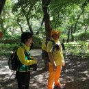 무네미길 이미지