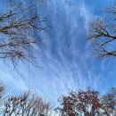 먹적골어린이공원 이미지