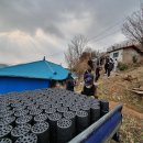 보령선한이웃 이미지