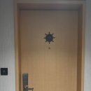 정동진호텔 | 강릉 정동진 썬크루즈 비치크루즈 호텔 재재방문 후기