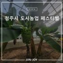 도시농업센터 | 청주시 도시농업 페스티벌 후기 및 정보