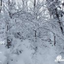 남산약수터 이미지