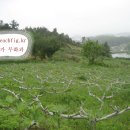 자연농원 이미지