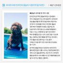 큰마음동물메디컬센터 이미지