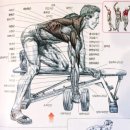 리본PT스튜디오 이미지