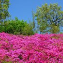 동산미용실 이미지