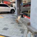 다홍이분식 이미지