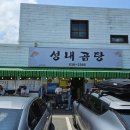 꽃곰탕 이미지