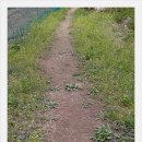 사기막 농장 이미지