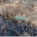 내흥리농장 이미지