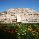 진달래산천 이미지