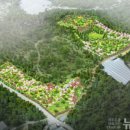 강정동-62 이미지