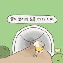 힘내 이미지