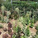 고려산 민박 이미지