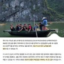 골드썬(Goldsun) 네이버블로그