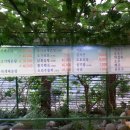 둥굴식당 이미지