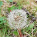 소담재 - 밀양시 시전중앙2길 45 | 소담재