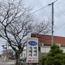 중선베스트 | 봉성식당, 커피템플, 랜디스도넛, 빨간집 후기