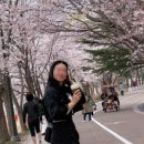 GS25 설악산점 이미지