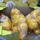 6월 첫째 주 할인! 이마트 트레이더스 참외·수박·치즈 핫딜과 과일 할인 정보