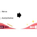 닥터디자이너의원 광주점 이미지