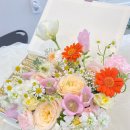 중앙동178 이미지