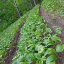 성부농장 이미지