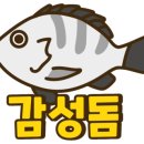 홀통낚시 이미지