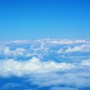 신비로-1 이미지