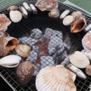 마검포힐링캠핑장 이미지