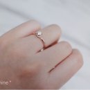 윈플레르