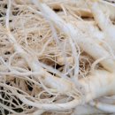 풍기인삼사 이미지