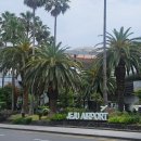 스테이 옹글 제주 이미지