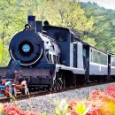 광치마을 이미지