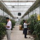 컴퓨터백화점 이미지