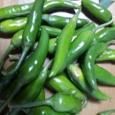 희성농원