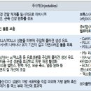 에스테틱