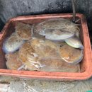 해덕호 이미지