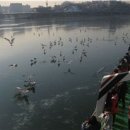 마포-현장-마포-1592 이미지