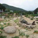 산수유집