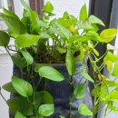 예가수제순대 앞 이미지