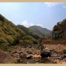 농암초등학교 이미지