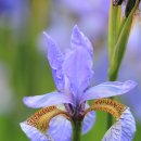 야음로 26번길 이미지