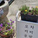 커피공방외출