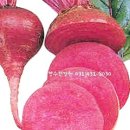 장수생즙건강원 이미지